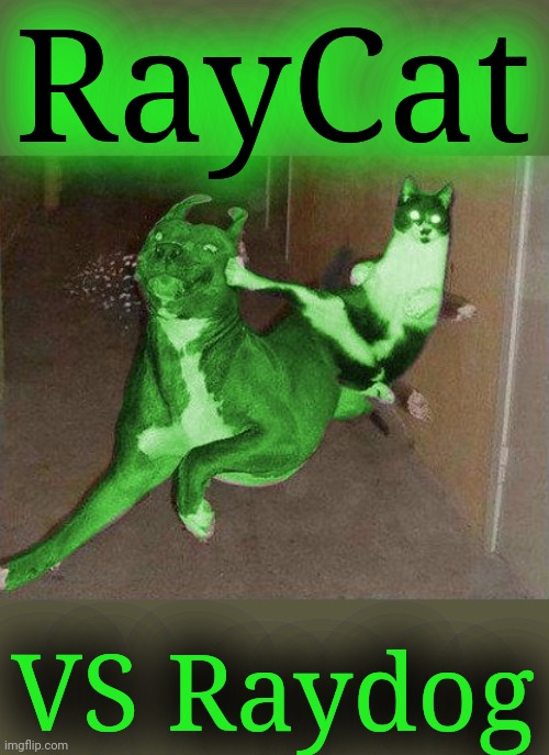 RayCat kicking RayDog | RayCat VS Raydog | image tagged in raycat kicking raydog | made w/ Imgflip meme maker