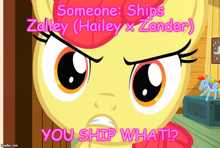 My little pony meme | Someone: Ships Zaliey (Hailey x Zander); YOU SHIP WHAT!? | image tagged in apple bloom is pissed mlp | made w/ Imgflip meme maker