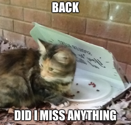 e | BACK; DID I MISS ANYTHING | made w/ Imgflip meme maker
