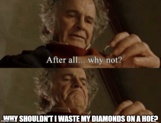 breaking a popular rule of minecraft | WHY SHOULDN'T I WASTE MY DIAMONDS ON A HOE? | image tagged in after all why not | made w/ Imgflip meme maker