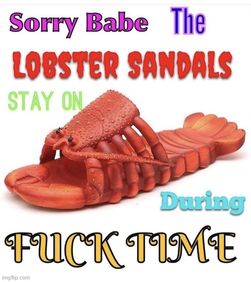 sorry babe | made w/ Imgflip meme maker