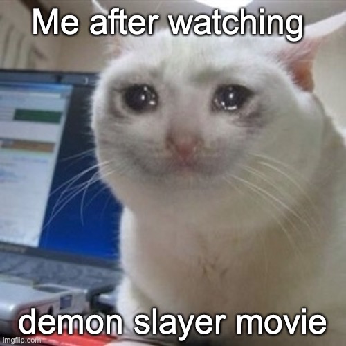 Im depressed help | Me after watching; demon slayer movie | image tagged in crying cat | made w/ Imgflip meme maker