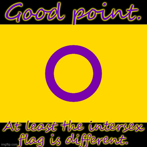 Intersex Flag | Good point. At least the intersex flag is different. | image tagged in intersex flag | made w/ Imgflip meme maker
