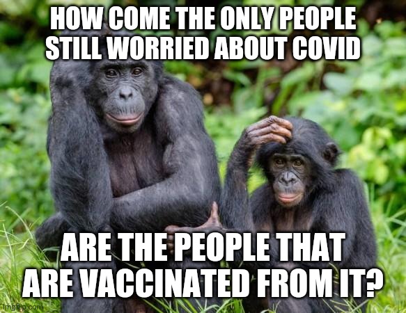 HOW COME THE ONLY PEOPLE STILL WORRIED ABOUT COVID; ARE THE PEOPLE THAT ARE VACCINATED FROM IT? | image tagged in covid-19 | made w/ Imgflip meme maker