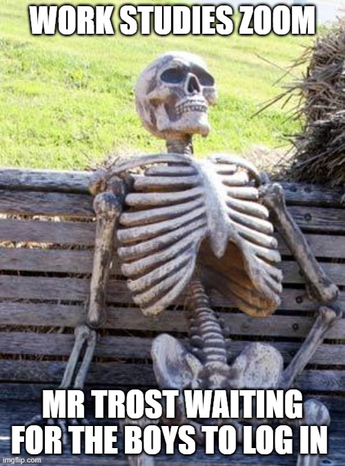 WORK STUDIES | WORK STUDIES ZOOM; MR TROST WAITING FOR THE BOYS TO LOG IN | image tagged in memes,waiting skeleton | made w/ Imgflip meme maker