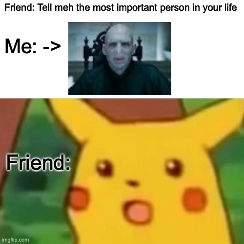 This did not and will never happen. I don't like Voldemort THAT much. | Friend: Tell meh the most important person in your life; Me: ->; Friend: | image tagged in memes,surprised pikachu,voldemort | made w/ Imgflip meme maker