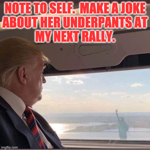 Genius at work. | NOTE TO SELF.  MAKE A JOKE
ABOUT HER UNDERPANTS AT
MY NEXT RALLY. | image tagged in president trump flying past the statue of liberty,memes,underpants,genius | made w/ Imgflip meme maker