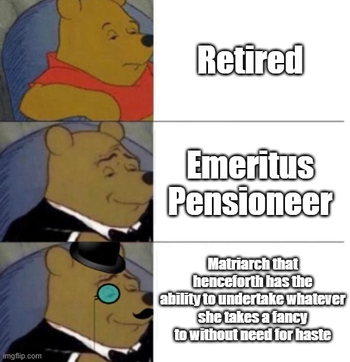 Retirement | Retired; Emeritus Pensioneer; Matriarch that henceforth has the ability to undertake whatever she takes a fancy to without need for haste | image tagged in tuxedo winnie the pooh 3 panel,retirement,retire | made w/ Imgflip meme maker
