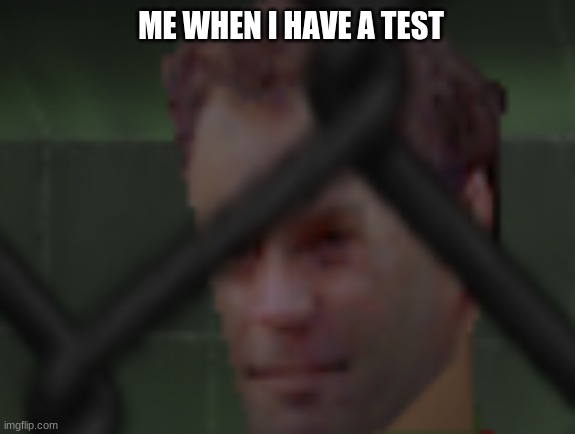 Me when i have a test | ME WHEN I HAVE A TEST | image tagged in i heve arife | made w/ Imgflip meme maker