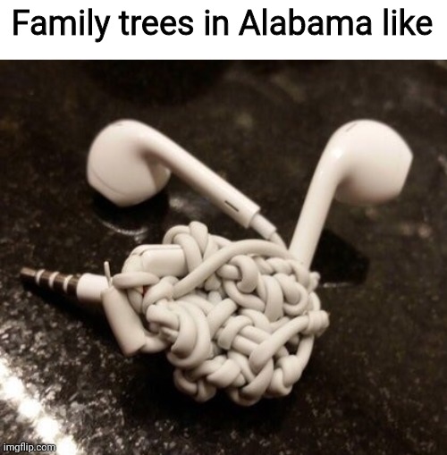 All tangled up and inbred. |  Family trees in Alabama like | image tagged in tangled up wires,alabama,incest,inbred,memes,barney will eat all of your delectable biscuits | made w/ Imgflip meme maker