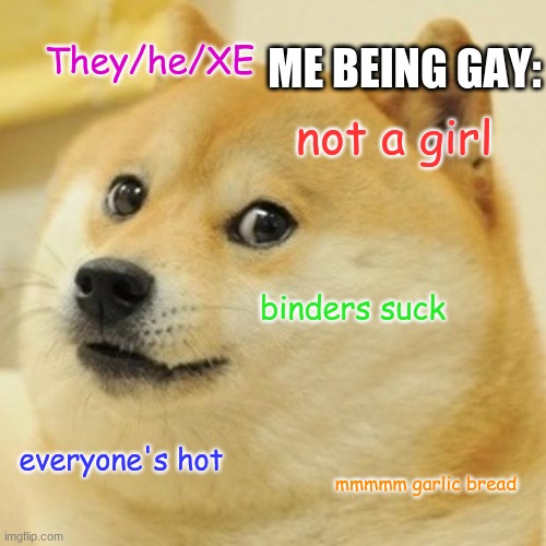 Doge Meme | ME BEING GAY:; They/he/XE; not a girl; binders suck; everyone's hot; mmmmm garlic bread | image tagged in memes,doge | made w/ Imgflip meme maker