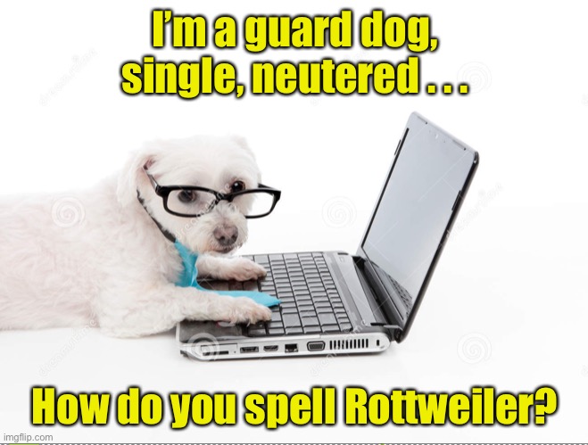 Dogs online dating profiles | I’m a guard dog, single, neutered . . . How do you spell Rottweiler? | image tagged in dogs,online dating | made w/ Imgflip meme maker