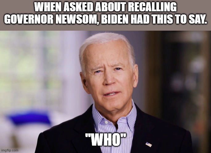 Biden on the campain trail | WHEN ASKED ABOUT RECALLING GOVERNOR NEWSOM, BIDEN HAD THIS TO SAY. "WHO" | image tagged in joe biden,newsom | made w/ Imgflip meme maker
