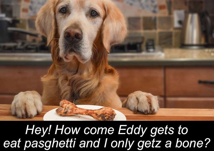 Hey! How come Eddy gets to eat pasghetti and I only getz a bone? | made w/ Imgflip meme maker