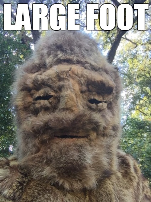 the legend of large foot |  LARGE FOOT | image tagged in bigfoot | made w/ Imgflip meme maker