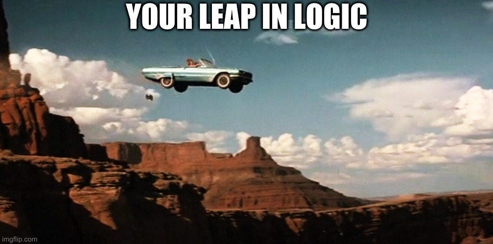 Thelma and Louise Airborne | YOUR LEAP IN LOGIC | image tagged in thelma and louise airborne | made w/ Imgflip meme maker