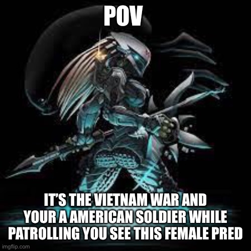 POV; IT’S THE VIETNAM WAR AND YOUR A AMERICAN SOLDIER WHILE PATROLLING YOU SEE THIS FEMALE PREDATOR | image tagged in roleplaying | made w/ Imgflip meme maker