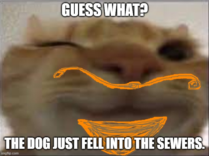 I knew that strange evil mustache and beard were bad omens! | GUESS WHAT? THE DOG JUST FELL INTO THE SEWERS. | image tagged in happy stare cat,animal rivalries,kitty mischief | made w/ Imgflip meme maker