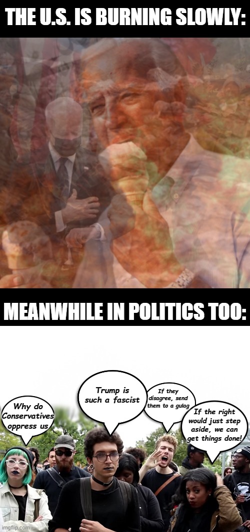We are doing great |  THE U.S. IS BURNING SLOWLY:; MEANWHILE IN POLITICS TOO:; Trump is such a fascist; If they disagree, send them to a gulag; Why do Conservatives oppress us; If the right would just step aside, we can get things done! | image tagged in sjw idiots | made w/ Imgflip meme maker