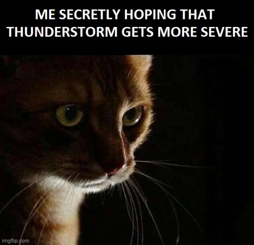 image tagged in cat,thunderstorm | made w/ Imgflip meme maker