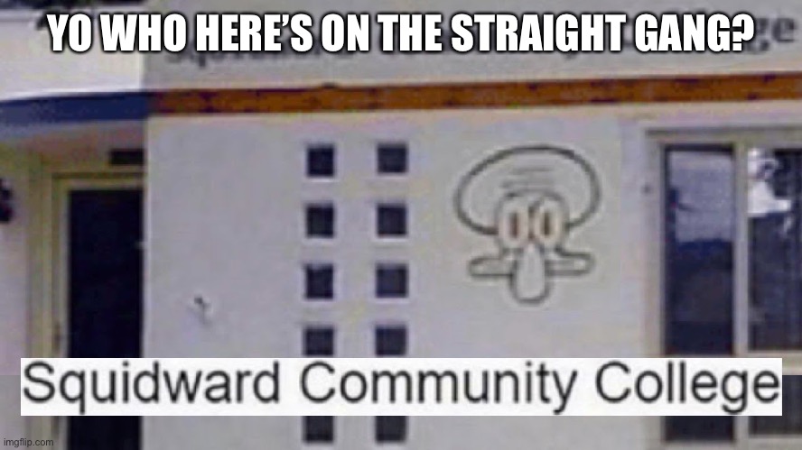 I am :3 | YO WHO HERE’S ON THE STRAIGHT GANG? | image tagged in squidward community college | made w/ Imgflip meme maker