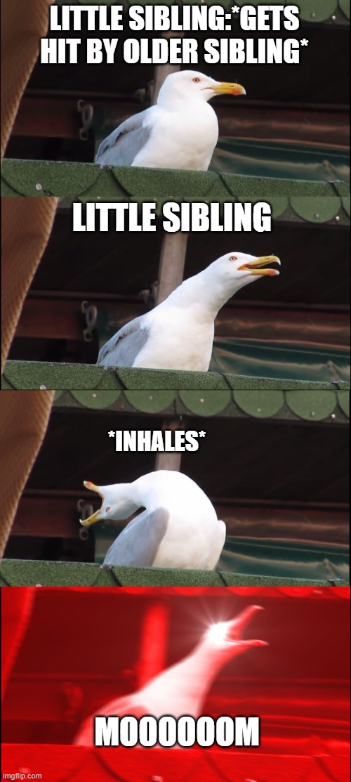 Inhaling Seagull | LITTLE SIBLING:*GETS HIT BY OLDER SIBLING*; LITTLE SIBLING; *INHALES*; MOOOOOOM | image tagged in memes,inhaling seagull | made w/ Imgflip meme maker