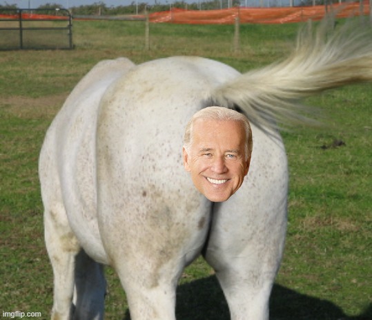 Horse's ass | image tagged in horse's ass | made w/ Imgflip meme maker