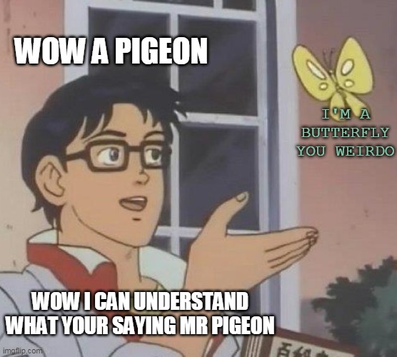 Wow a pgeon! | WOW A PIGEON; I'M A BUTTERFLY YOU WEIRDO; WOW I CAN UNDERSTAND WHAT YOUR SAYING MR PIGEON | image tagged in memes,is this a pigeon | made w/ Imgflip meme maker