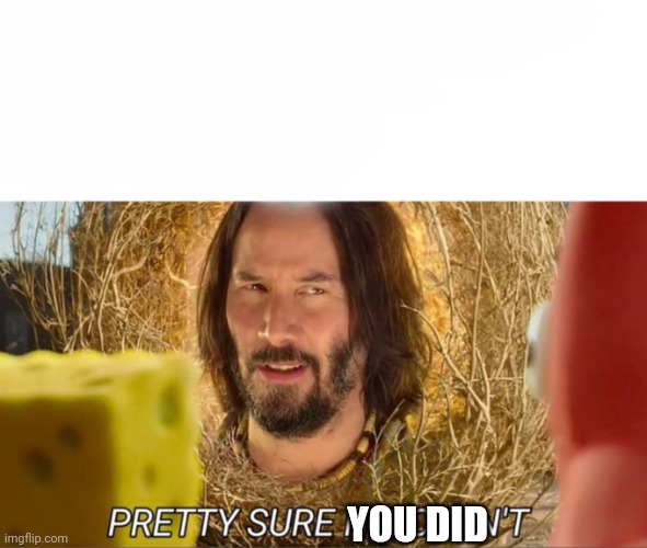 im pretty sure it doesnt | YOU DID | image tagged in im pretty sure it doesnt | made w/ Imgflip meme maker