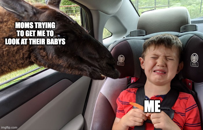 Disgusted kid with Okapi | MOMS TRYING TO GET ME TO LOOK AT THEIR BABYS; ME | image tagged in disgusted kid with okapi,bruh | made w/ Imgflip meme maker
