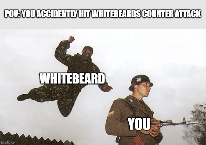 made a mistake- | POV: YOU ACCIDENTLY HIT WHITEBEARDS COUNTER ATTACK; WHITEBEARD; YOU | image tagged in soldier jump spetznaz,pov | made w/ Imgflip meme maker