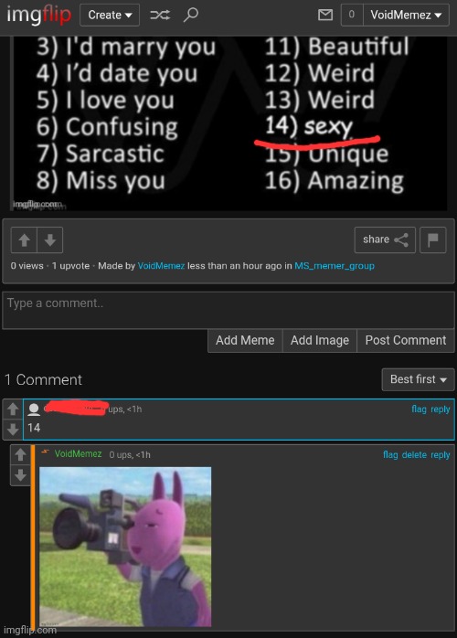 made w/ Imgflip meme maker