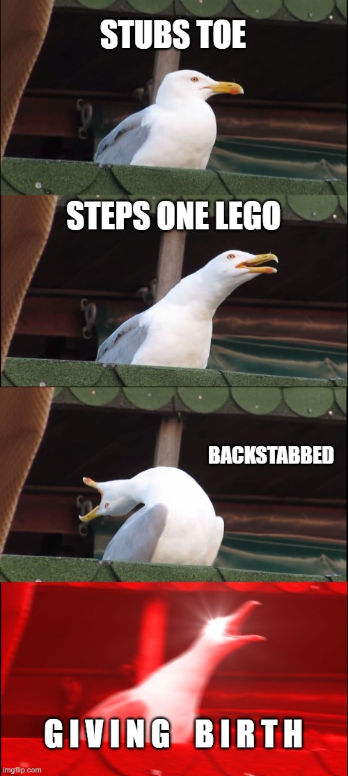 Inhaling Seagull Meme | STUBS TOE; STEPS ONE LEGO; BACKSTABBED; G I V I N G    B I R T H | image tagged in memes,inhaling seagull | made w/ Imgflip meme maker