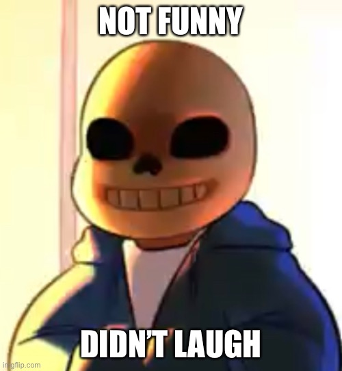 NOT FUNNY; DIDN’T LAUGH | made w/ Imgflip meme maker
