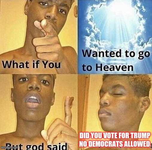 What If You Wanted To Go To Heaven | DID YOU VOTE FOR TRUMP; NO DEMOCRATS ALLOWED | image tagged in what if you wanted to go to heaven,trump,republican,conservatives | made w/ Imgflip meme maker