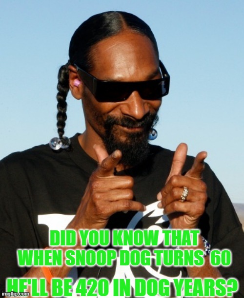 Do the Math | DID YOU KNOW THAT WHEN SNOOP DOG TURNS  60; HE'LL BE 420 IN DOG YEARS? | image tagged in snoop dogg approves,420,dog years | made w/ Imgflip meme maker
