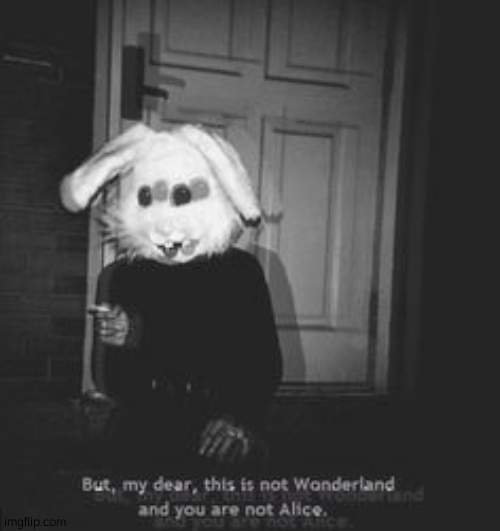 This is not wonderland and you are not alice | image tagged in this is not wonderland and you are not alice | made w/ Imgflip meme maker