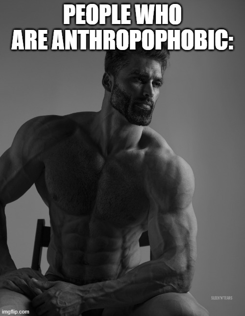Giga Chad | PEOPLE WHO ARE ANTHROPOPHOBIC: | image tagged in giga chad | made w/ Imgflip meme maker