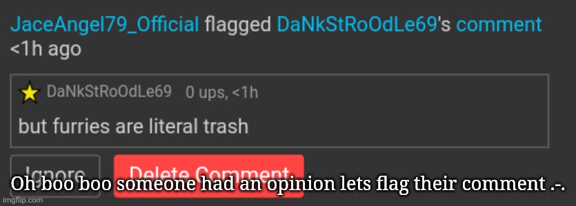 Oh boo boo someone had an opinion lets flag their comment .-. | made w/ Imgflip meme maker