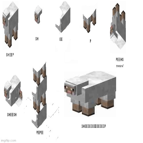 varieties of sheep part 1 | image tagged in sheep | made w/ Imgflip meme maker