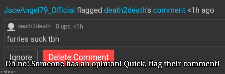 Oh no! Someone has an opinion! Quick, flag their comment! | made w/ Imgflip meme maker