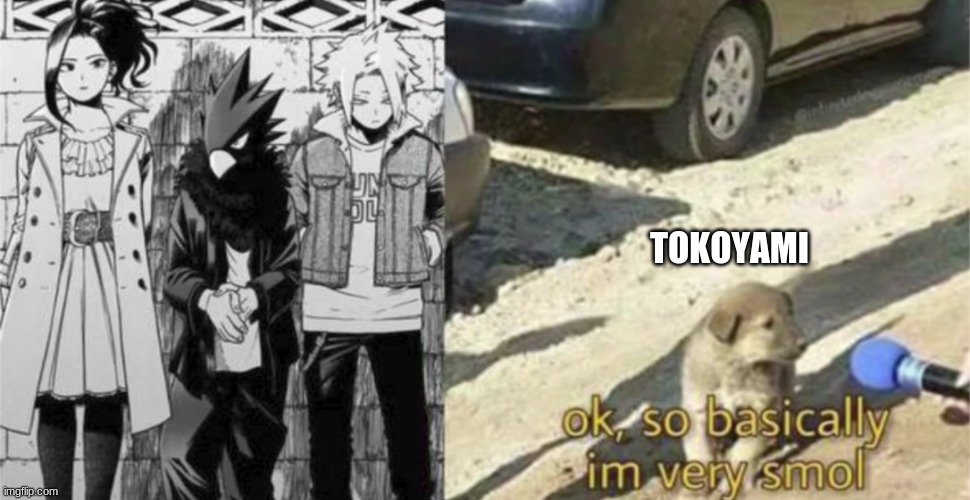 TOKOYAMI | made w/ Imgflip meme maker