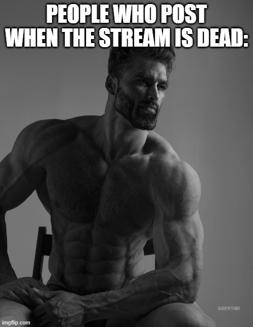 Giga Chad | PEOPLE WHO POST WHEN THE STREAM IS DEAD: | image tagged in giga chad | made w/ Imgflip meme maker
