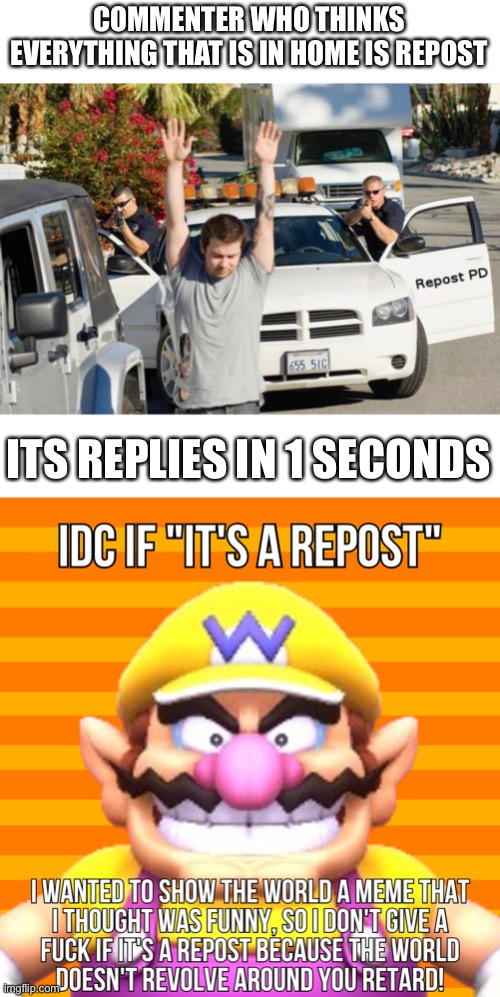 Repost Insulting be like: | COMMENTER WHO THINKS EVERYTHING THAT IS IN HOME IS REPOST; ITS REPLIES IN 1 SECONDS | image tagged in repost police,comment section | made w/ Imgflip meme maker