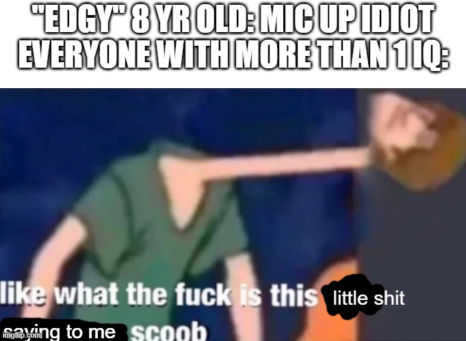 Like what the f*ck is this sh*t above me scoob | "EDGY" 8 YR OLD: MIC UP IDIOT
EVERYONE WITH MORE THAN 1 IQ: saying to me little shit | image tagged in like what the f ck is this sh t above me scoob | made w/ Imgflip meme maker