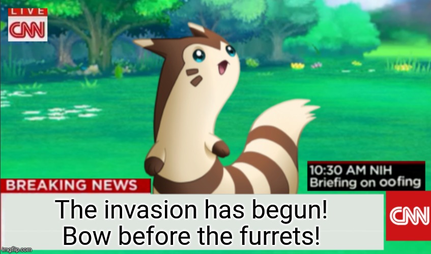 Furret invasion continues! | The invasion has begun!  Bow before the furrets! | image tagged in breaking news furret,furret,anime,pokemon,cute animals | made w/ Imgflip meme maker