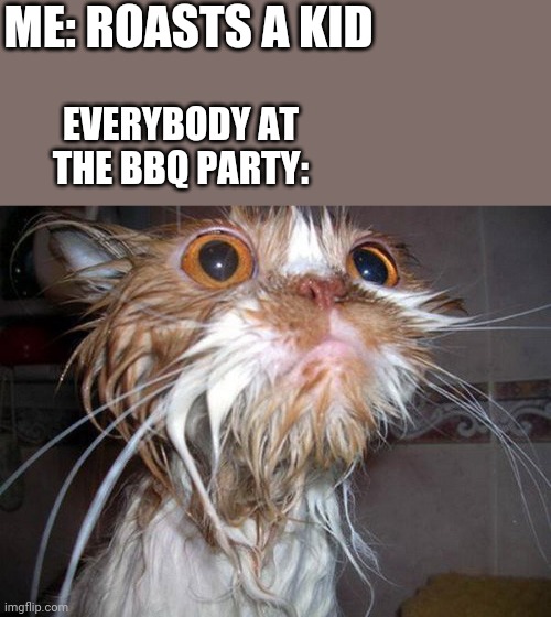 °_° | ME: ROASTS A KID; EVERYBODY AT THE BBQ PARTY: | image tagged in wet cat in shock | made w/ Imgflip meme maker