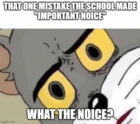 What the--? | THAT ONE MISTAKE THE SCHOOL MADE
"IMPORTANT NOICE"; WHAT THE NOICE? | image tagged in tom cat unsettled close up,memes | made w/ Imgflip meme maker