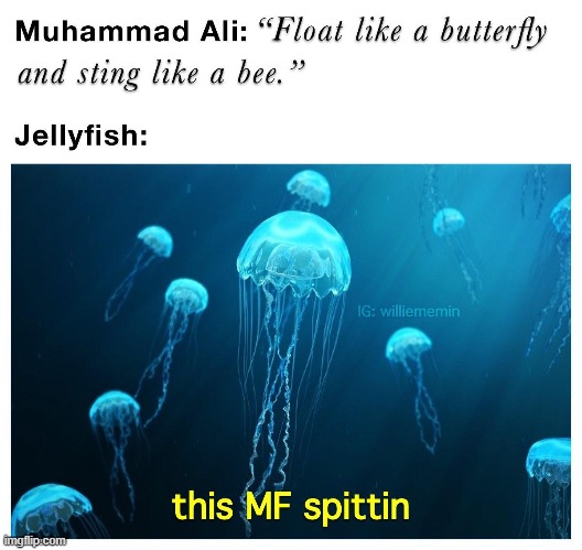 spittin | made w/ Imgflip meme maker