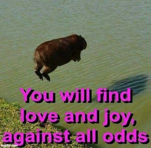 capybara | made w/ Imgflip meme maker